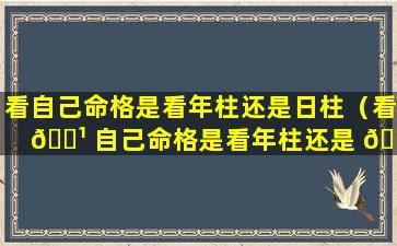 看自己命格是看年柱还是日柱（看 🌹 自己命格是看年柱还是 🐞 日柱好）